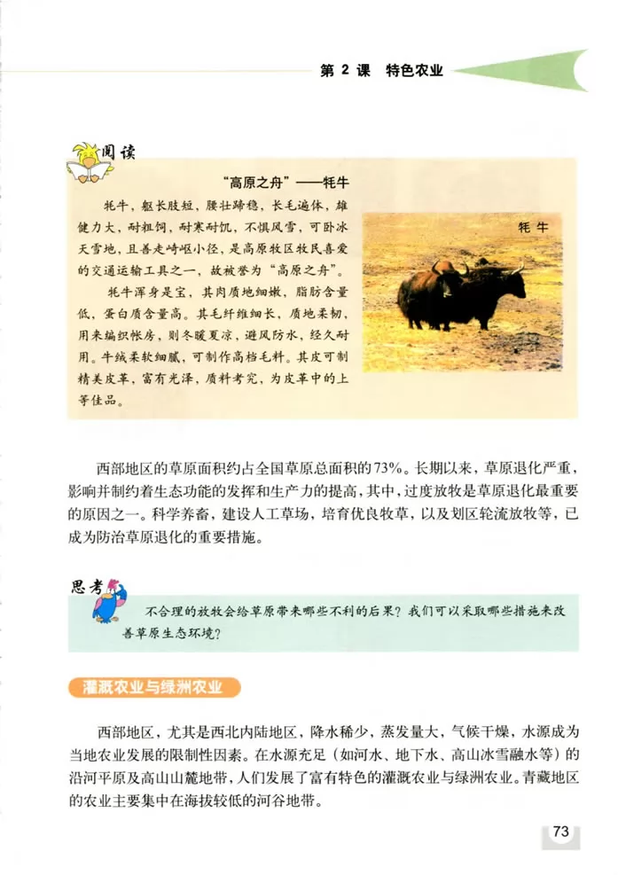 꼶̲